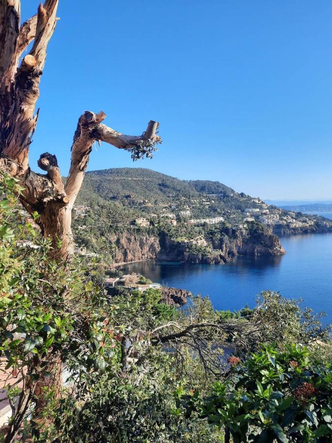 Magic Mer Saint-Raphaël Exteriér fotografie
