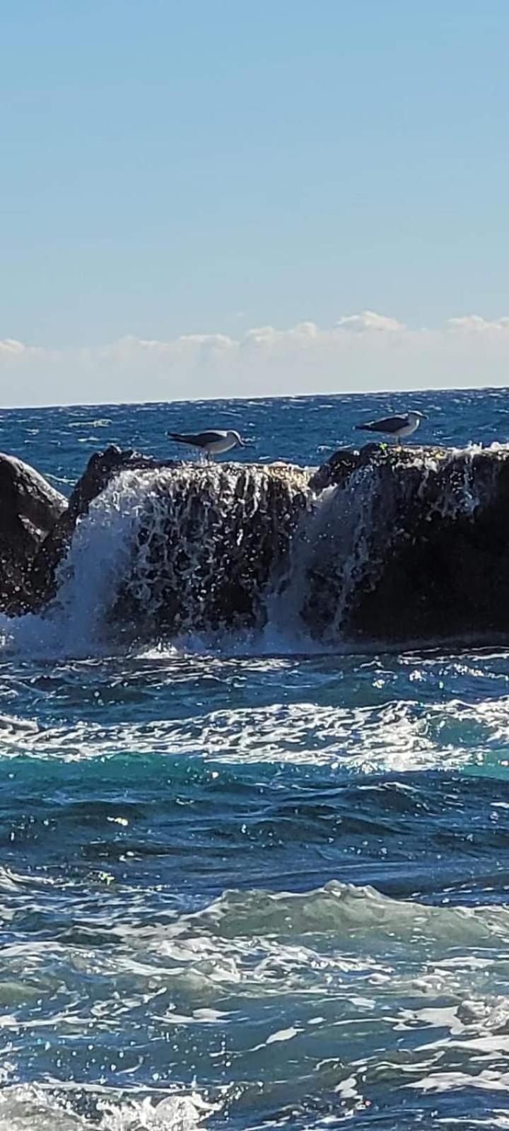 Magic Mer Saint-Raphaël Exteriér fotografie